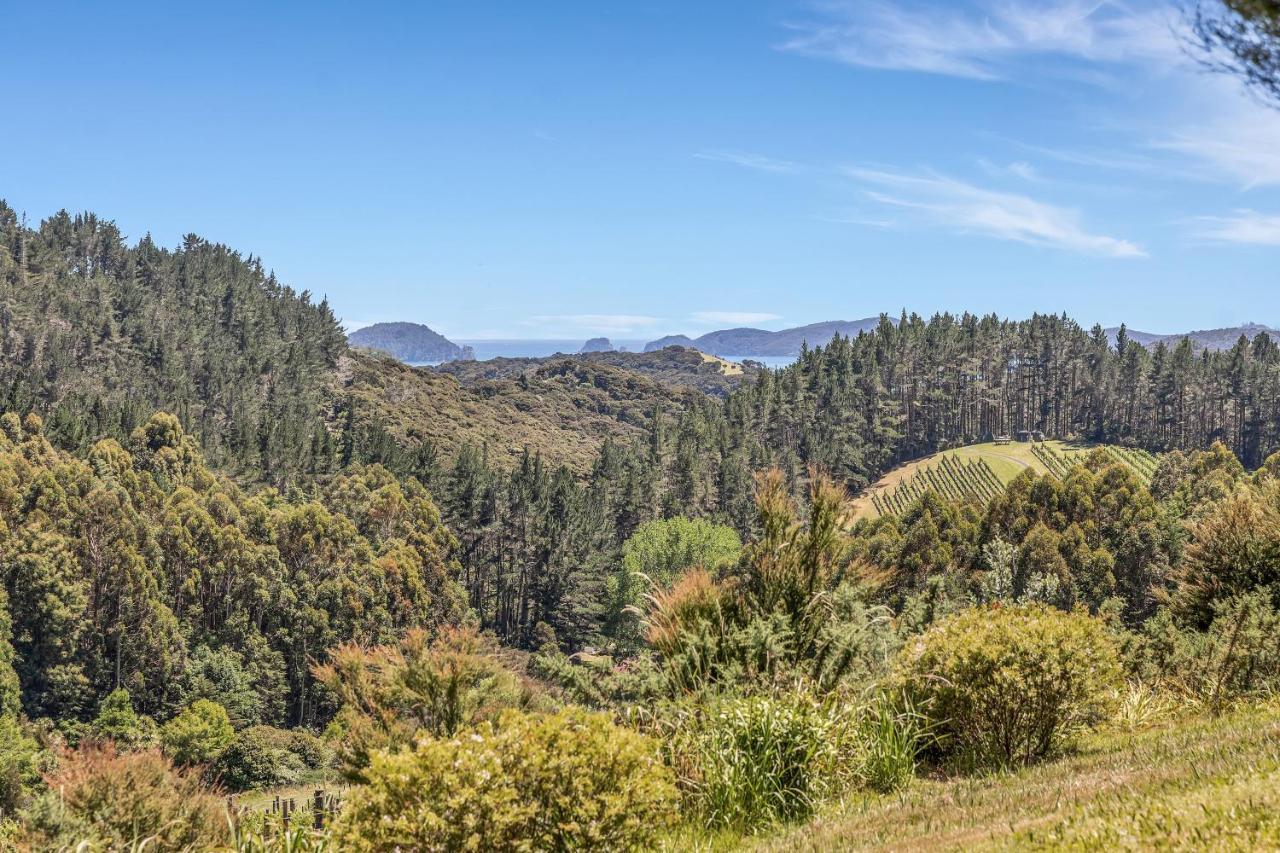 Paroa Bay Chalets - Te Whare Kereru Russell Exterior photo